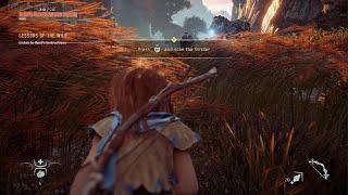 Horizon Zero Dawn: First Kill