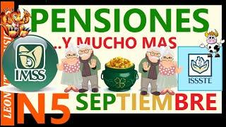 N5-TODO SOBRE PENSIONES Y MUCHO MÀS!!! ️️ #pension #adultosmayores #ayudasocial #pagos #méxico