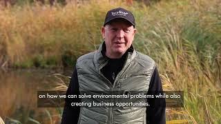 Harvested Reed – Cleans the Sea and Benefits the Land