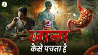 भोजन कैसे पचता है इसका रहस्य जानें - Discover the Secret of How Food Digests