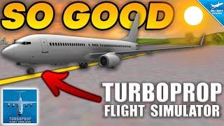 NEW TFS FEATURES That We TRULY NEED | Turboprop Flight Simulator