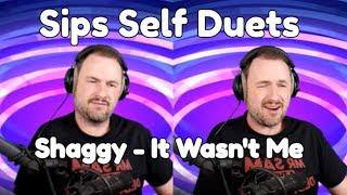 Sips duetting "Shaggy - It Wasn't Me" With Himself (Sips Twitch Sings Funny Moments)