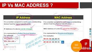 What are the differences between IP & MAC Addresses?