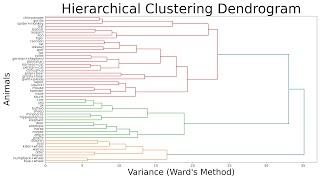 Hierarchical Clustering using Python