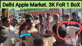 Apple  Harvesting & Packing at MEBAR Village Kinnaur (H.P) 2021( Farm to market)