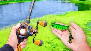 Fishing w/ FROGS for GIANT Bass! (LOADED)