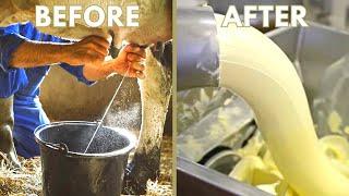 This Is How Butter Is Made, It’s Way Worse Than You Thought!