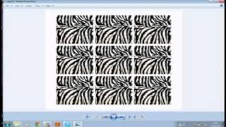Zebra Set 8 Craft Download from Alan and Barry