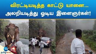 Munnar | Padayappa | Elephant | விரட்டியடித்த காட்டு யானை... அலறியடித்து ஓடிய இளைஞர்கள்!