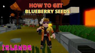 How to GET BLUEBERRY SEEDS - Islands - Roblox