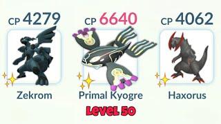 Using ALL BLACK SHINY TEAM with PRIMAL KYOGRE (Pokemon GO)