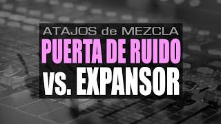 Cómo y Cuándo Usar PUERTA de RUIDO vs. EXPANSOR