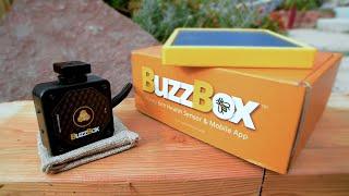 BuzzBox Mini Promo