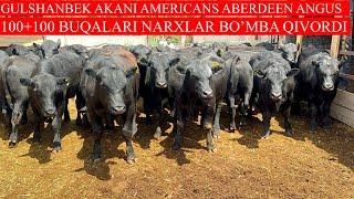 GULSHANBEK AKANI AMERICANS ABERDEEN ANGUS BUQALARI QOBILBEK BO’MBAQIVORDI NARXLARNI