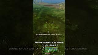 Archeage: Как палится инвиз в игре