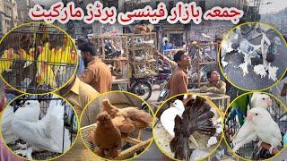 Juma Bazar Birds Market Rawalpindi | Latest Update Fancy Pigeon Price Kabutar Bazar 2/11/2024 |