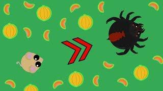 Mope.io - Desert Kangaroo Rat To Spider With Melons!!