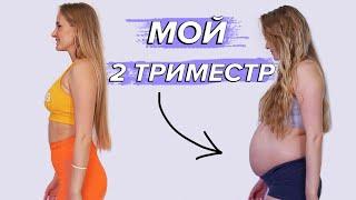 МОЙ 2 ТРИМЕСТР БЕРЕМЕННОСТИ| ПОЛ МАЛЫША| ТОНУС МАТКИ| ПЕРВЫЕ ШЕВЕЛЕНИЯ