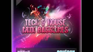 Tech & House MIDI Basslines (MIDI Loops)