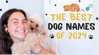 The Best Dog Names of 2024 - Male & Female Puppy Name Ideas