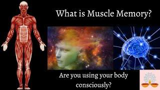 What is Muscle memory?  Our Miraculous Body Part 3