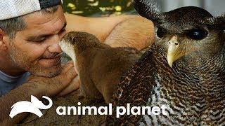 Animales que viven en la Fundación de Frank | Wild Frank: Al rescate | Animal Planet