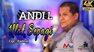 LAGU DAERAH JAMBI _ Ulok Sepagi ( Ulfa S ) _ Andi Lesmana ( cover ) Arr Hengky - WINA MUSIC