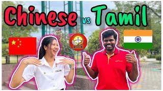 Tamil and Chinese Similarities | Tamil  and Chinese  Language | Tamil Roamer