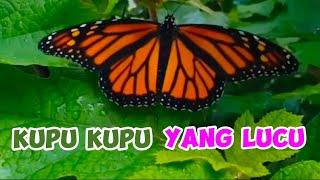 KUPU-KUPU YANG LUCU | Lagu Anak Populer