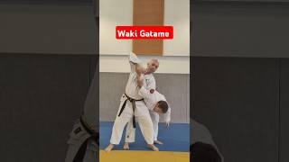 Waki Gatame version Nihon Tai Jitsu #NihonTaiJitsu #SelfDefense #artsmartiaux