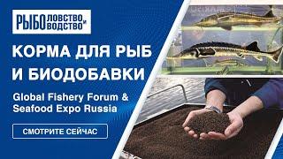 Разведение рыбы: комбикорма и биодобавки | Seafood Expo 2024