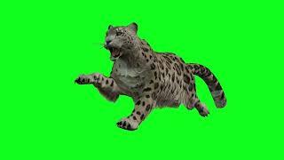 Animated Different Animal Green Screen | No Copyright| Chroma Key Effect | All Portable Green Screen