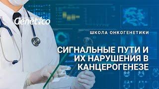 Сигнальные пути и их нарушения в канцерогенезе