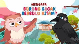 Dongeng Jepang | Burung Hantu Dan Gagak | Dongeng Anak