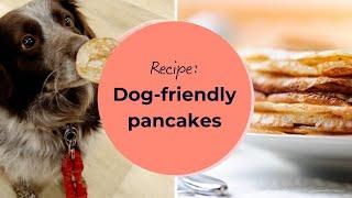 Easy dog-friendly pancakes