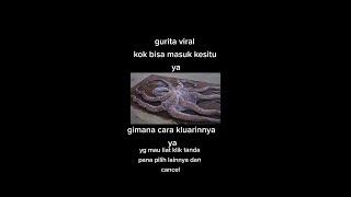 Gurita Viral Tik Tok #2 #gurita #sotongkurita #guritaviral 