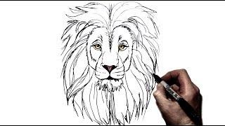 How to Draw a Lion | Step by Step