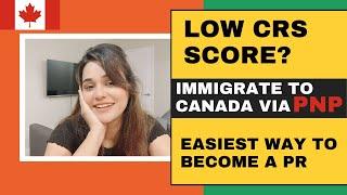 CANADA PNP PROGRAMS 2021| Low CRS score? | WHAT & HOW? | Provincial nominee program | CANADA STORIES