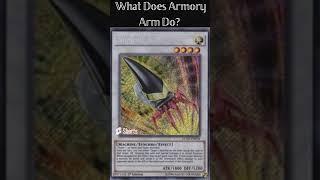 What Does Armory Arm Do?