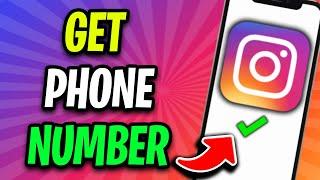 How to Get Phone Number From Instagram | Find Someone's Phone Number From Their Instagram