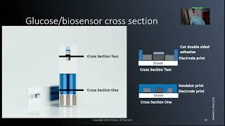 Layout and cross section of an electrochemical biosensor - glucose strips