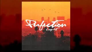 FREE Melodic Loop Kit - Perfection (Pain, RNB, Lil Tjay, Polo G, NBA YoungBoy, Lil Durk Loop Kit)