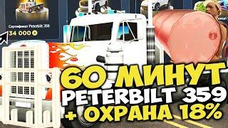 60 МИНУТ на PETERBILT 359 с ОХРАННИКОМ и БЕЗЛИМИТОМ ⏰ НОВЫЙ ИМБАЛАНС на ARIZONA RP в GTA SAMP