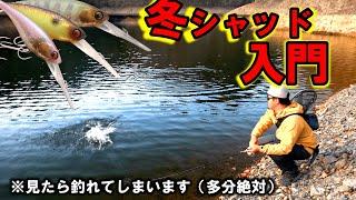 【冬バス必釣】しょごたん流シャッド講座！