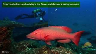 Diving in Azores