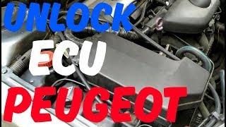 Unlock ECU Peugeot 406 D9 EW10  #RahmanMotorSport
