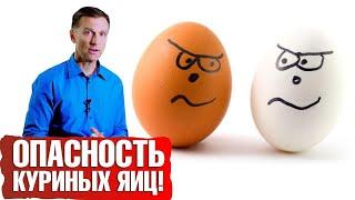 Чем опасны куриные яйца? Повышают ли яйца холестерин? 