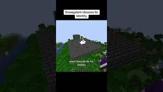 Snowgolem Chooses Its Identity  #minecraft #gaming