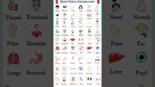 Body Parts Names Vocabulary || Learn Speaking English..