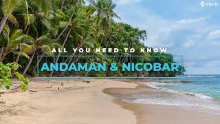 Andaman And Nicobar Islands: Best Hotels, Best Beaches, Things To Do, Food | Tripoto